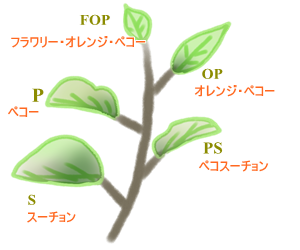 日記 2 へそまがり店長の藪から棒の話